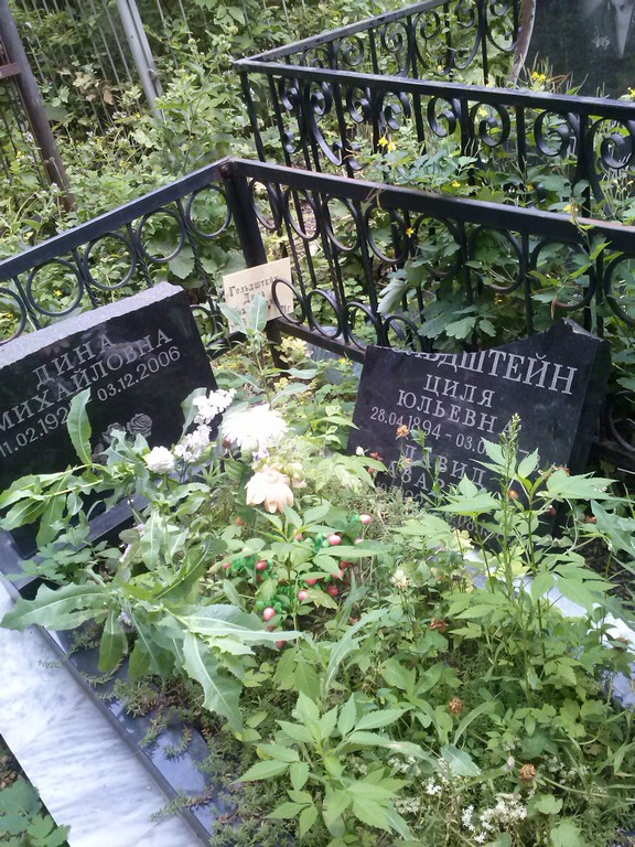 Гольдштейн Дина Михайловна, Саратов, Еврейское кладбище